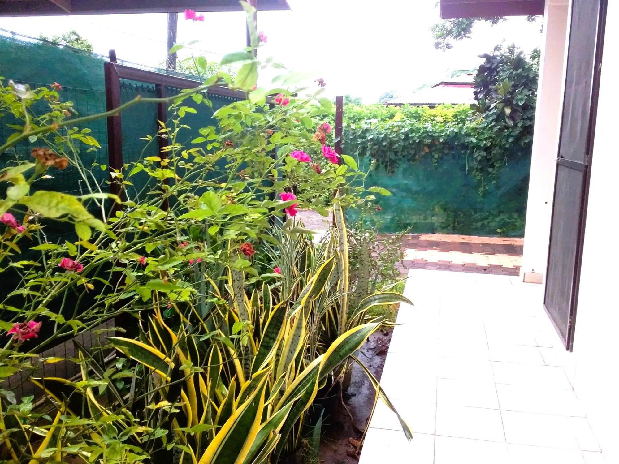 Belle Maison F3 Papeete  Bagian luar foto